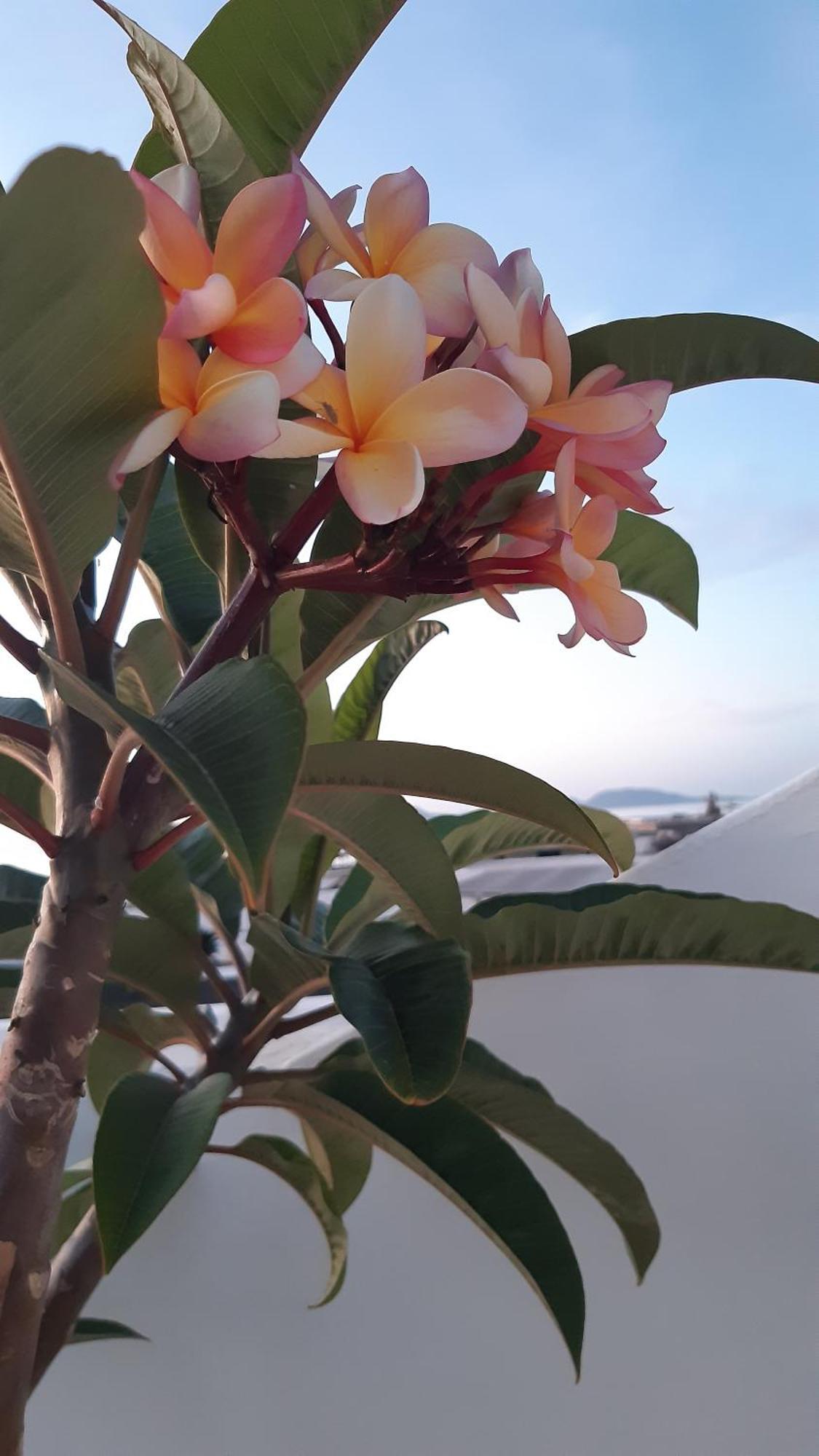 La Belle Vie Villa Famara Eksteriør billede